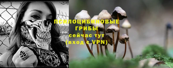 дурь Алзамай