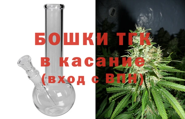 гидра Алексин