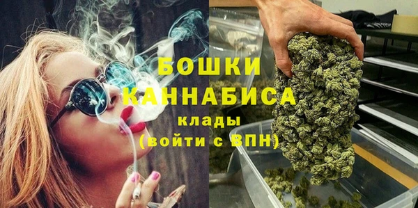 гидра Алексин