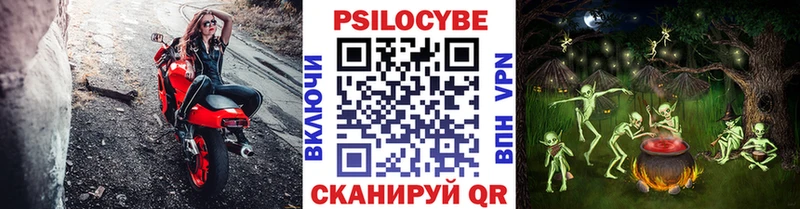 Псилоцибиновые грибы мицелий  блэк спрут ссылки  Кремёнки 