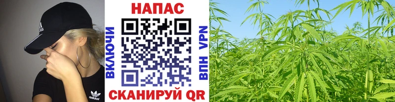 сколько стоит  Кремёнки  Каннабис SATIVA & INDICA 